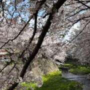 菊池 恵 到着しました^ ^ 30代40代50代と遊ぶなら博多人妻専科24時