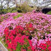 菊池 恵 お久しぶりです^ ^ 30代40代50代と遊ぶなら博多人妻専科24時