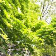 菊池 恵 おはようございます^ ^ 30代40代50代と遊ぶなら博多人妻専科24時