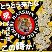 ヒメ日記 2023/09/17 00:21 投稿 なお やんちゃな子猫 兎我野店