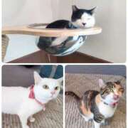 ヒメ日記 2026/04/10 17:25 投稿 ゆう 蜜系アロマ＆回春エステ～エナジー～Energy