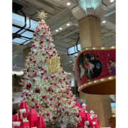 ヒメ日記 2025/12/05 20:40 投稿 ことみ プレイボーイ(八王子)