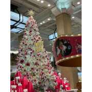 ヒメ日記 2025/12/05 21:02 投稿 ことみ プレイボーイ(八王子)