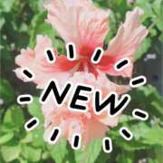 ヒメ日記 2025/06/21 00:03 投稿 りりる☆めいアオハルより☆新妻 五十路有閑マダム～沖縄店～