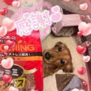 ヒメ日記 2025/07/21 10:30 投稿 りりる☆めいアオハルより☆新妻 五十路有閑マダム～沖縄店～