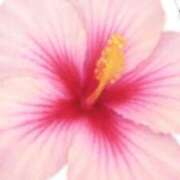 ヒメ日記 2025/10/15 13:09 投稿 りりる☆めいアオハルより☆新妻 五十路有閑マダム～沖縄店～