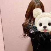 ヒメ日記 2025/01/31 01:34 投稿 あみ 学園祭