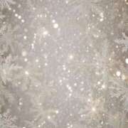 ヒメ日記 2025/12/25 00:46 投稿 あみ 学園祭