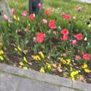 あみ 13〜16時！ 学園祭