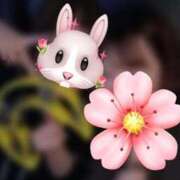 ヒメ日記 2026/01/30 13:32 投稿 さき 池袋しろパラ