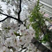 ヒメ日記 2025/03/30 18:21 投稿 ななせ 五反田人妻ヒットパレード（シンデレラグループ）