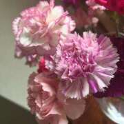 ヒメ日記 2025/05/21 06:39 投稿 ななせ 五反田人妻ヒットパレード（シンデレラグループ）