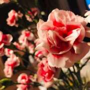 ヒメ日記 2025/05/22 22:31 投稿 ななせ 五反田人妻ヒットパレード（シンデレラグループ）