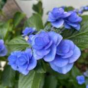 ヒメ日記 2025/06/10 11:17 投稿 ななせ 五反田人妻ヒットパレード（シンデレラグループ）