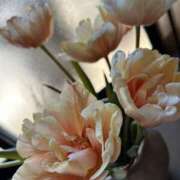 ヒメ日記 2026/04/16 11:11 投稿 ななせ 五反田人妻ヒットパレード（シンデレラグループ）