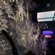 ヒメ日記 2026/03/29 17:44 投稿 相沢 利奈 扉の向こう側