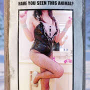 ヒメ日記 2026/01/05 04:44 投稿 松風　あやの エテルナ京都