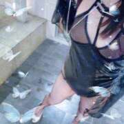 ヒメ日記 2026/02/17 12:16 投稿 松風　あやの エテルナ京都