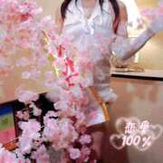 ヒメ日記 2026/04/10 06:01 投稿 松風　あやの エテルナ京都