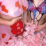 ヒメ日記 2026/04/21 12:16 投稿 松風　あやの エテルナ京都