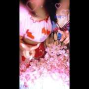 ヒメ日記 2026/04/22 11:11 投稿 松風　あやの エテルナ京都