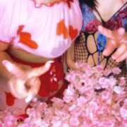 ヒメ日記 2026/04/22 12:16 投稿 松風　あやの エテルナ京都