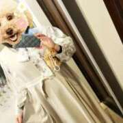 ヒメ日記 2026/03/25 17:47 投稿 すずな 松本人妻隊