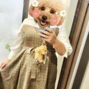 ヒメ日記 2026/03/28 17:05 投稿 すずな 松本人妻隊