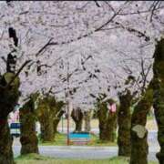 ヒメ日記 2026/03/29 13:58 投稿 すずな 松本人妻隊