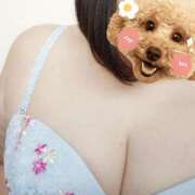 ヒメ日記 2026/03/31 20:29 投稿 すずな 松本人妻隊