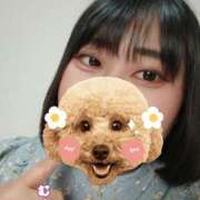 ヒメ日記 2026/04/01 12:46 投稿 すずな 松本人妻隊