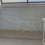 ヒメ日記 2025/04/12 13:50 投稿 あいこ 奥様特急新潟店