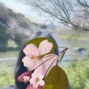 ヒメ日記 2025/04/04 13:47 投稿 ちづる 大阪ミナミ人妻援護会