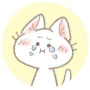 ヒメ日記 2025/05/23 09:20 投稿 あすか 大阪ミナミ人妻援護会