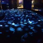 ヒメ日記 2025/02/24 14:57 投稿 りいな ベイキュート