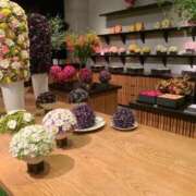 ヒメ日記 2025/10/04 08:27 投稿 りいな ベイキュート