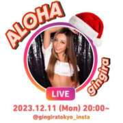 ヒメ日記 2023/12/11 18:15 投稿 ALOHA GINGIRA☆TOKYO～ギンギラ東京～