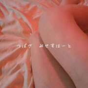 ヒメ日記 2025/09/11 09:23 投稿 つばさ みせすはーと