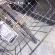 ヒメ日記 2026/03/08 18:12 投稿 つばさ みせすはーと