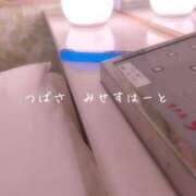 ヒメ日記 2026/04/28 21:53 投稿 つばさ みせすはーと
