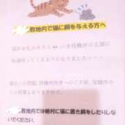 ヒメ日記 2026/06/04 07:21 投稿 つばさ みせすはーと