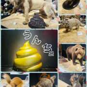 ヒメ日記 2025/05/07 22:53 投稿 綾瀬はな プレジデントクラブ