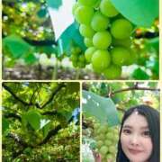 ヒメ日記 2025/09/08 21:57 投稿 綾瀬はな プレジデントクラブ