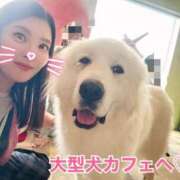 ヒメ日記 2025/10/10 12:04 投稿 綾瀬はな プレジデントクラブ