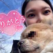 ヒメ日記 2026/01/31 18:21 投稿 綾瀬はな プレジデントクラブ