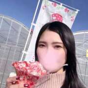 ヒメ日記 2026/02/08 18:11 投稿 綾瀬はな プレジデントクラブ