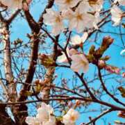 ヒメ日記 2025/03/27 14:28 投稿 広瀬かれん 恋する妻たち