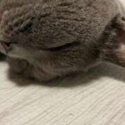 ヒメ日記 2025/04/30 16:08 投稿 広瀬かれん 恋する妻たち