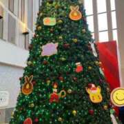 ヒメ日記 2025/11/23 12:22 投稿 広瀬かれん 恋する妻たち