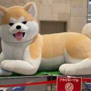 ヒメ日記 2026/02/12 12:28 投稿 広瀬かれん 恋する妻たち